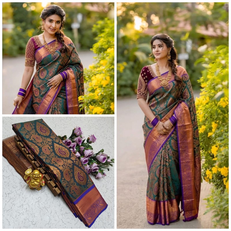 Nikki Galrani Silk Sarees