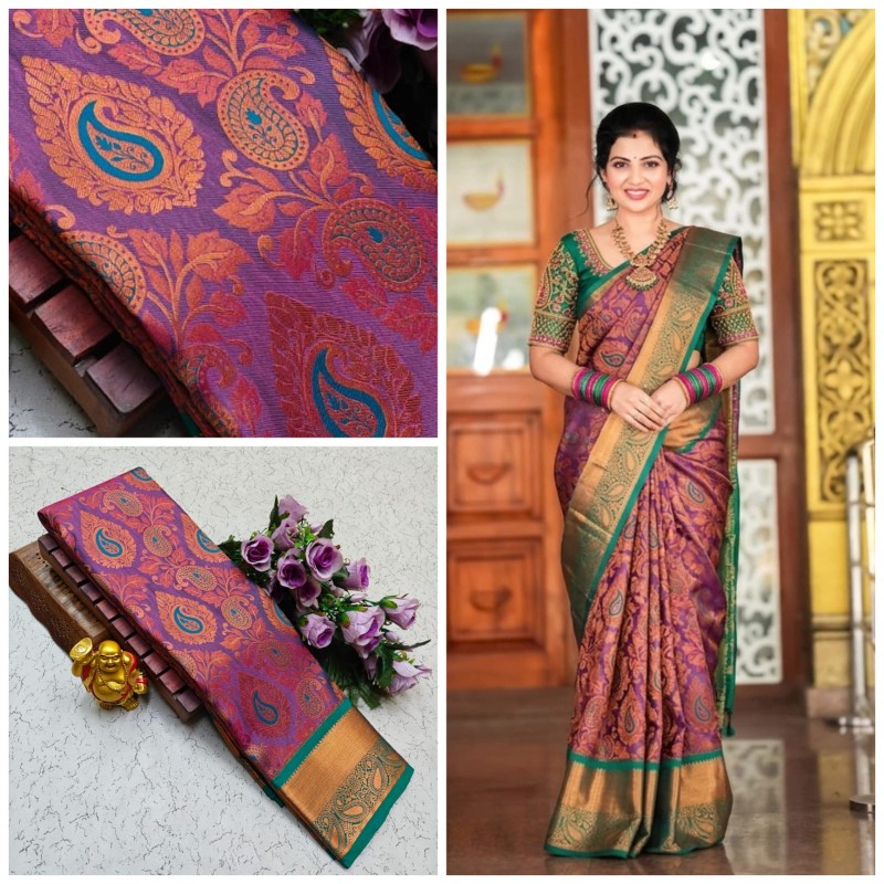 Nikki Galrani Silk Sarees