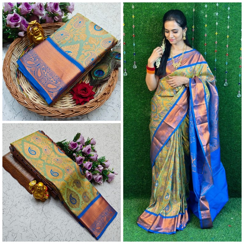 Nikki Galrani Silk Sarees