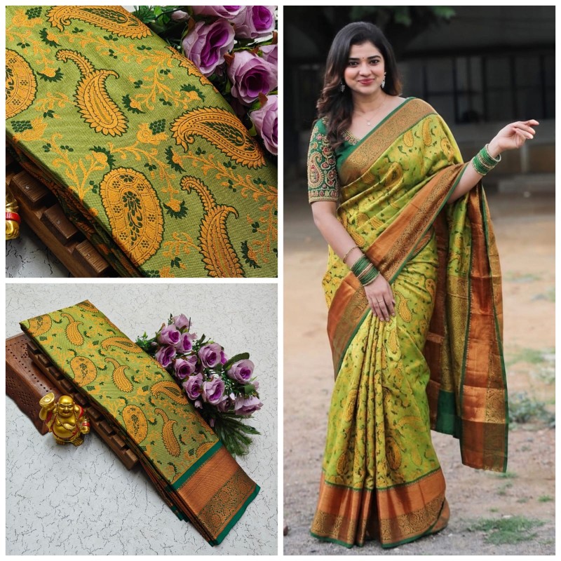 Nikki Galrani Silk Sarees